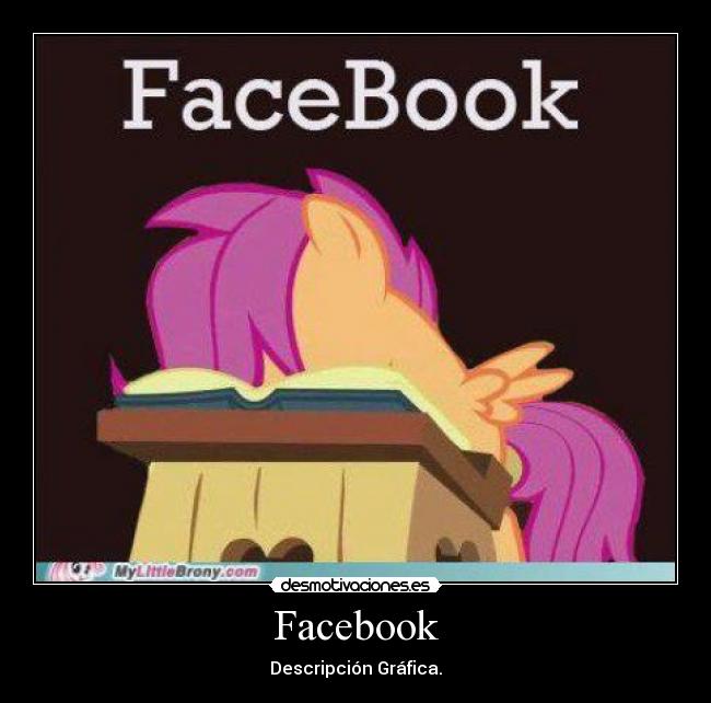 Facebook - Descripción Gráfica.