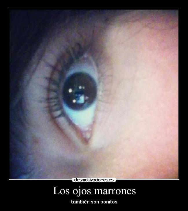 carteles ojos marrones desmotivaciones