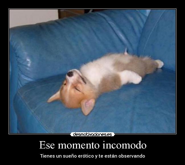 Ese momento incomodo - Tienes un sueño erótico y te están observando