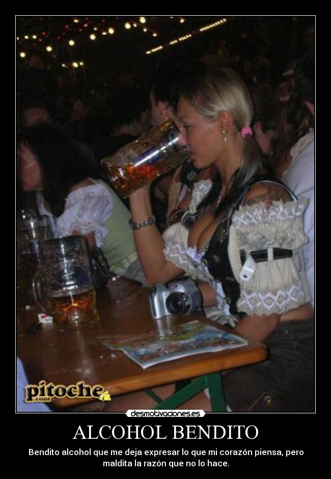 carteles alcohol tomar bendito razon verdad corazon piensa emociones maldita mujer cerveza desmotivaciones
