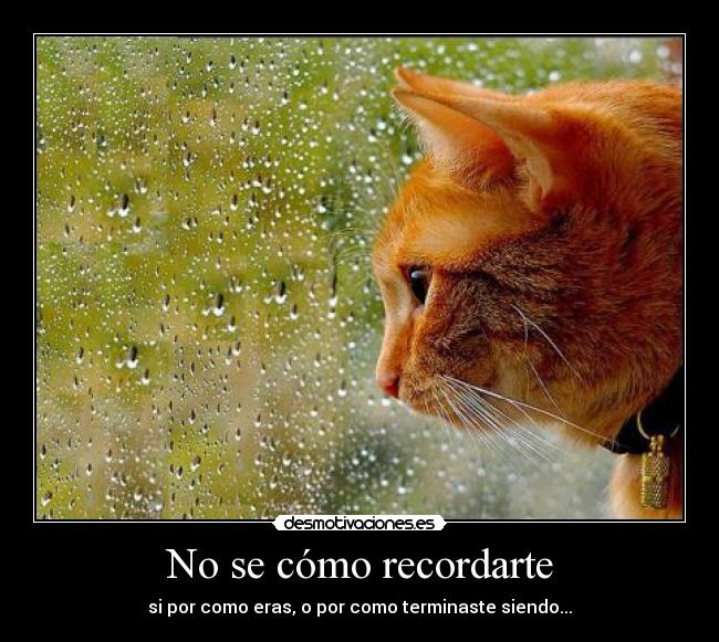 No se cómo recordarte - si por como eras, o por como terminaste siendo...