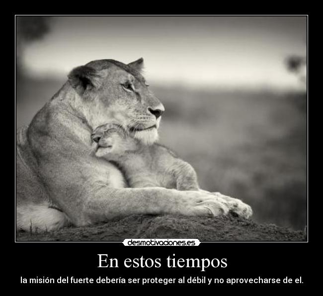 carteles fuerte rico jefe pudiente inteligente desmotivaciones