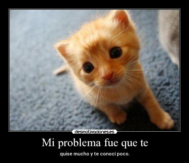 Mi problema fue que te - quise mucho y te conocí poco.
