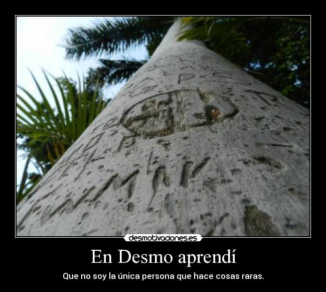 En Desmo aprendí - Que no soy la única persona que hace cosas raras.