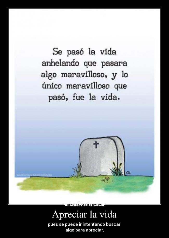 Apreciar la vida -