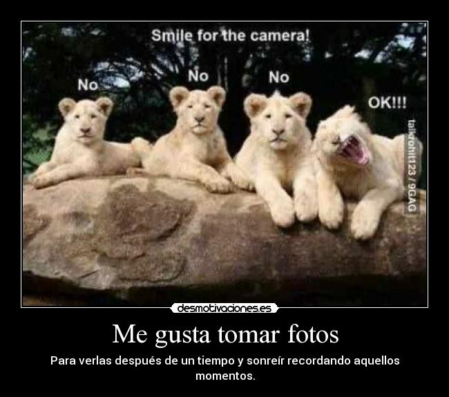 Me gusta tomar fotos - Para verlas después de un tiempo y sonreír recordando aquellos momentos.