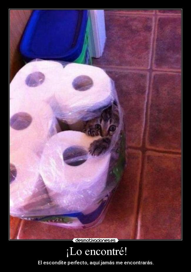 carteles eso que pensamos cinco segundos antes que nos encuentren desmotivaciones