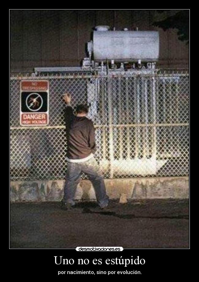 Uno no es estúpido - por nacimiento, sino por evolución.