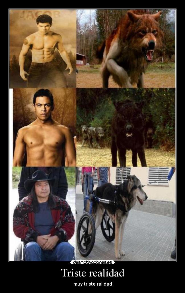 Triste realidad - muy triste ralidad