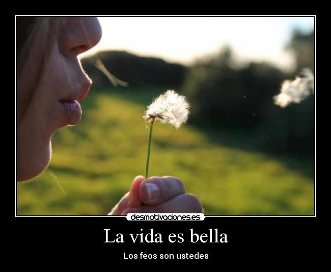 La vida es bella -