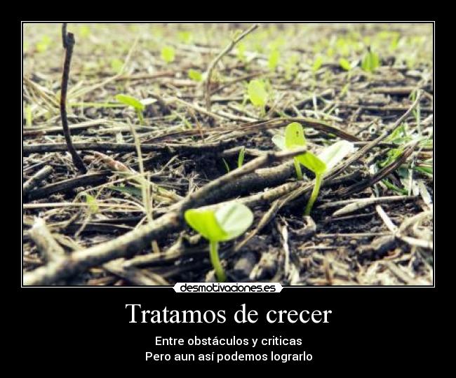 Tratamos de crecer - 
