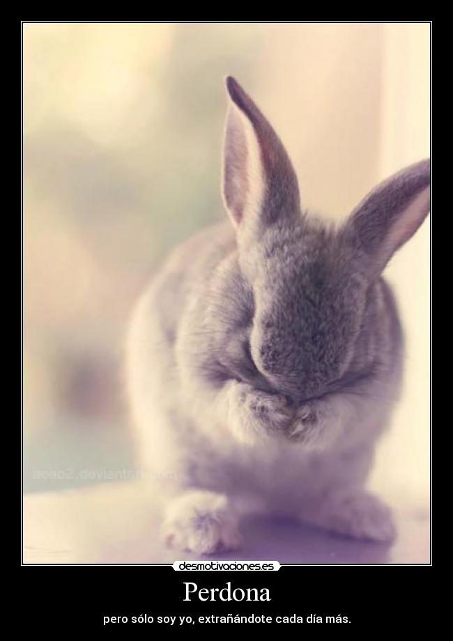 Perdona - pero sólo soy yo, extrañándote cada día más.