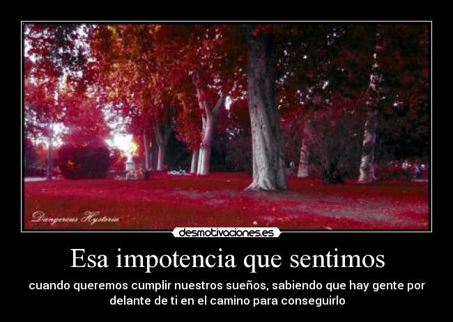 carteles suenos impotencia desmotivaciones fotografia desmotivaciones