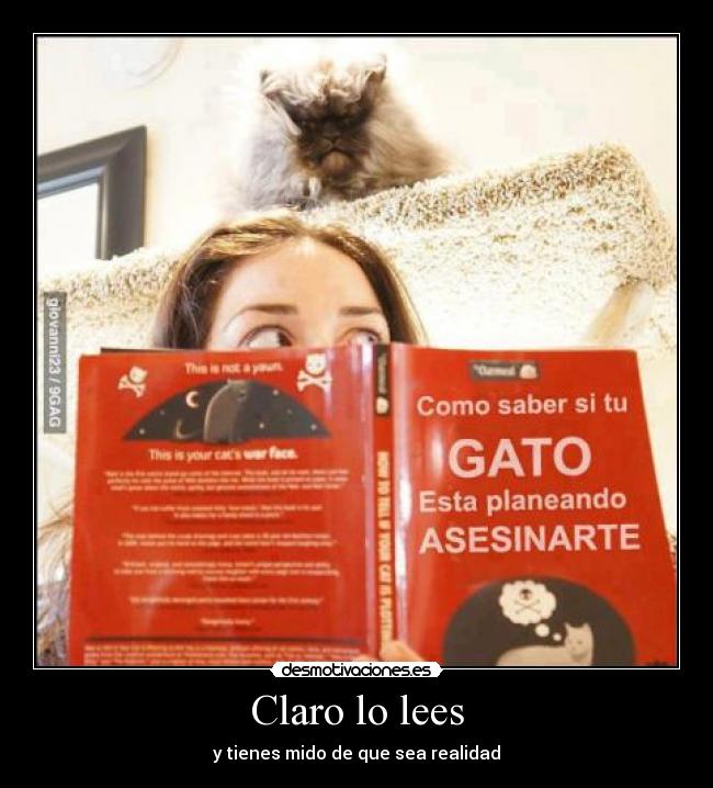 Claro lo lees - 