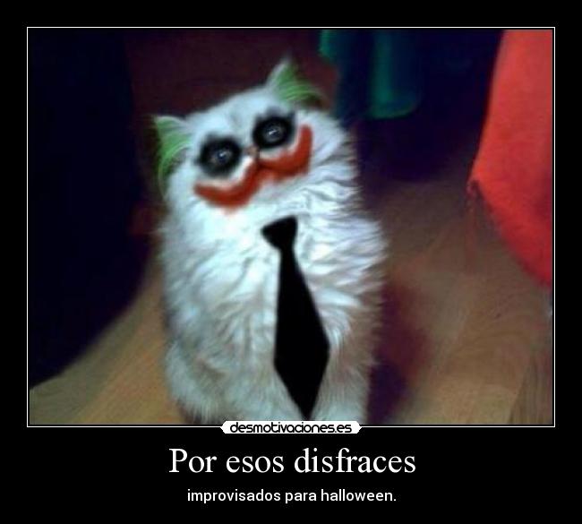 Por esos disfraces - improvisados para halloween.