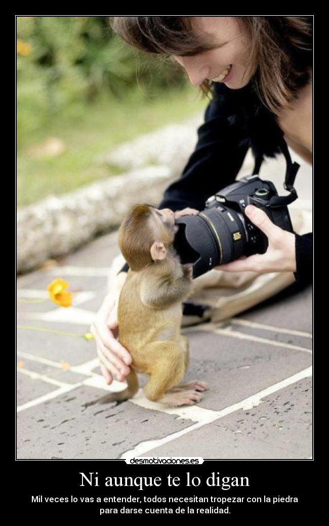 Ni aunque te lo digan - Mil veces lo vas a entender, todos necesitan tropezar con la piedra
para darse cuenta de la realidad.