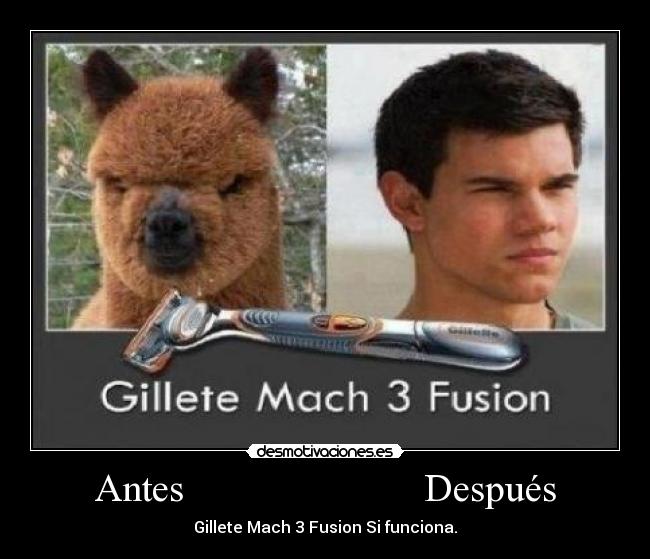 Antes                        Después - 