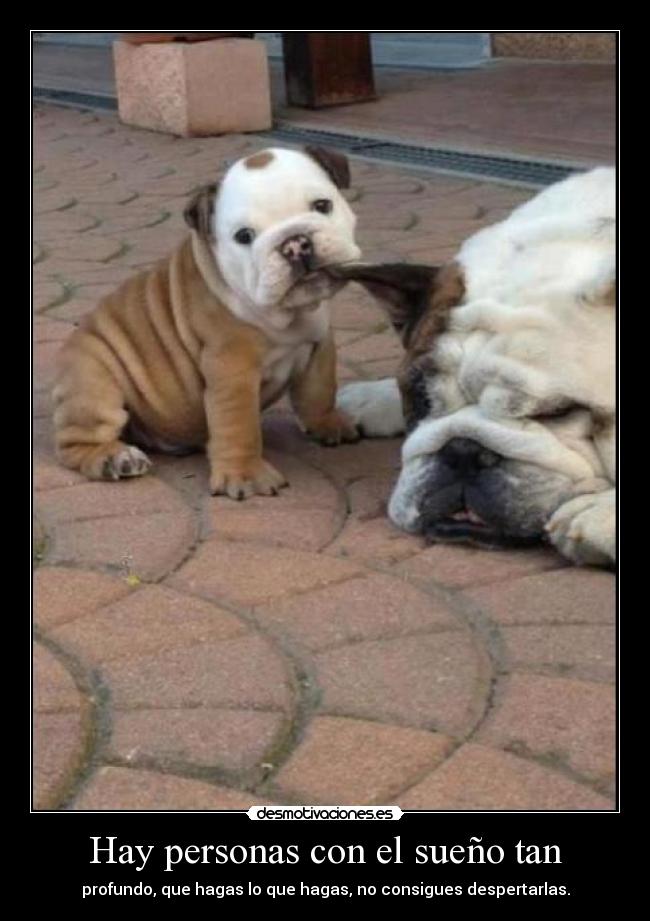 Hay personas con el sueño tan - 