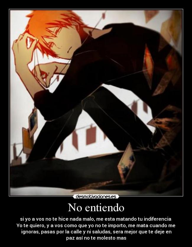 No entiendo -