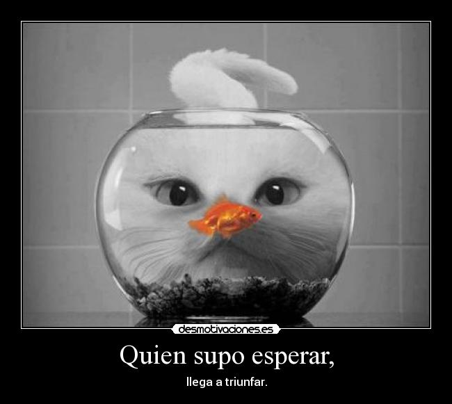 Quien supo esperar, - 
