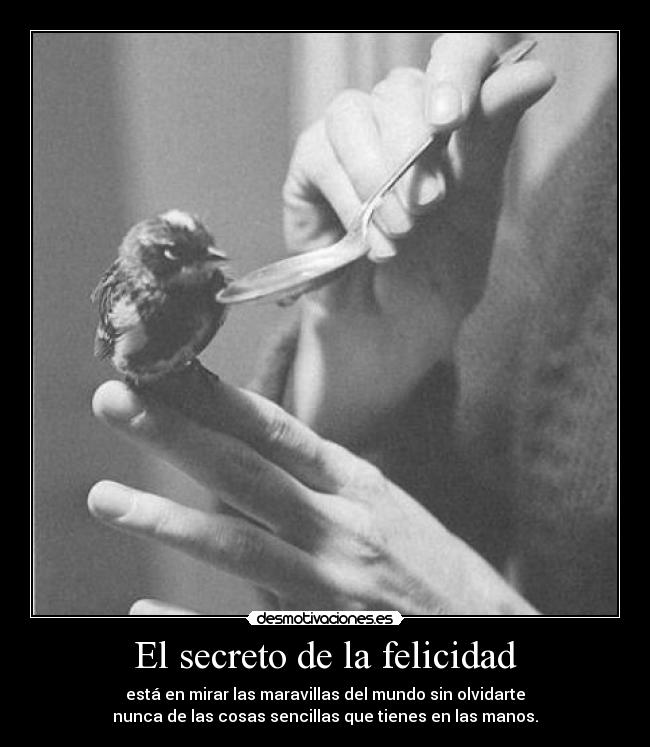 El secreto de la felicidad - está en mirar las maravillas del mundo sin olvidarte
nunca de las cosas sencillas que tienes en las manos.