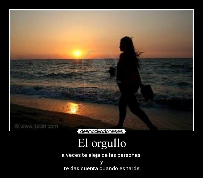 carteles orgullo desmotivaciones