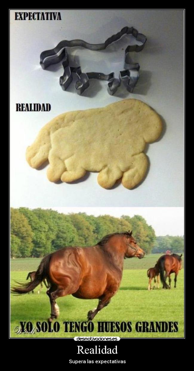 Realidad - Supera las expectativas