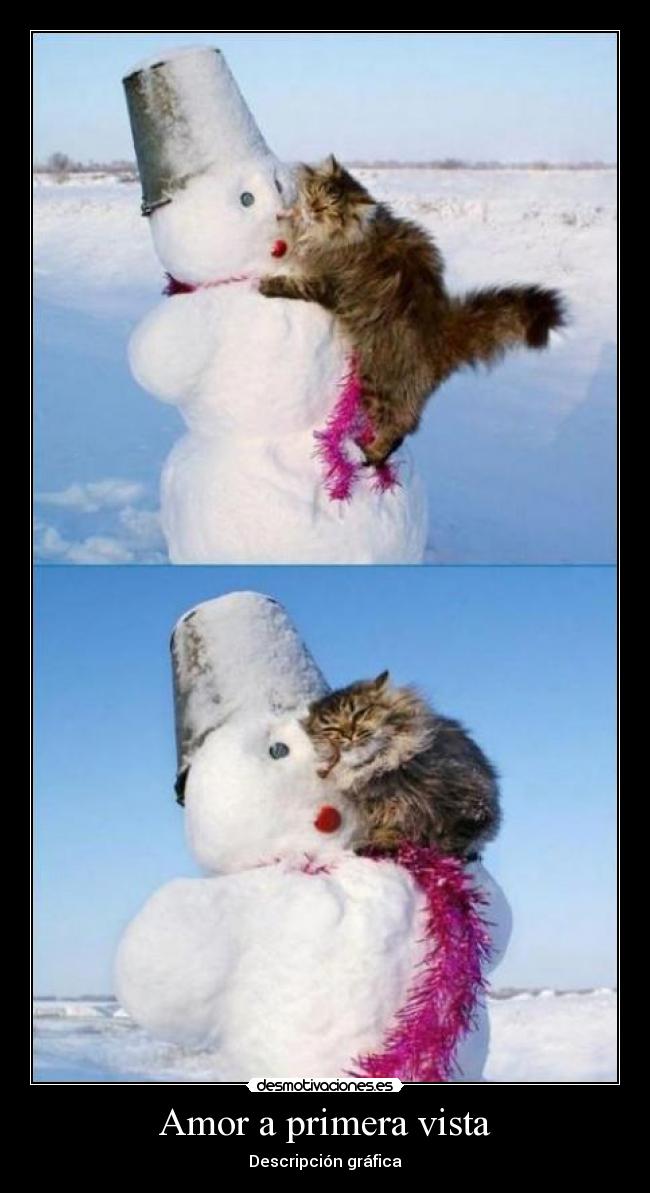 Amor a primera vista -