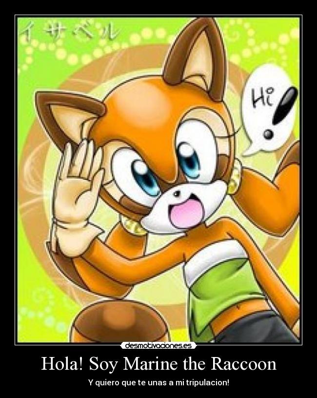 carteles marine the raccoon desmotivaciones