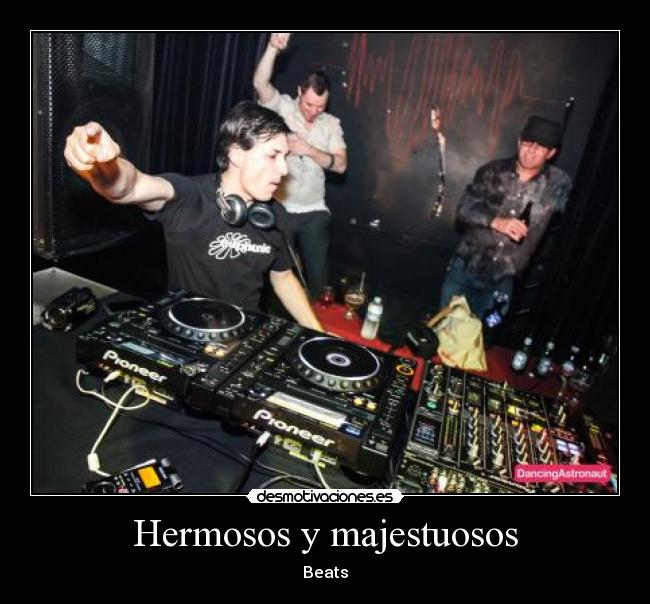 Hermosos y majestuosos -