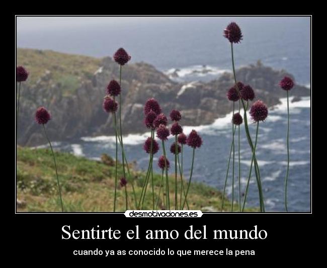 Sentirte el amo del mundo -