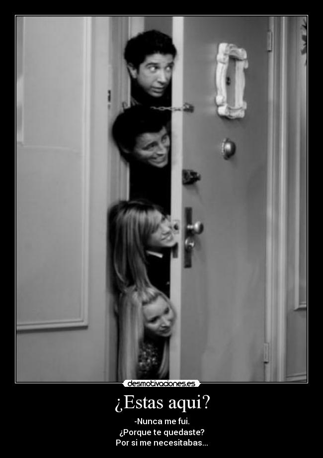 carteles nunca fui desmotivaciones