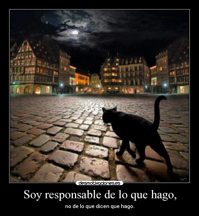 carteles directionerloveforever desmotivaciones