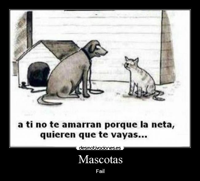 Mascotas - Fail