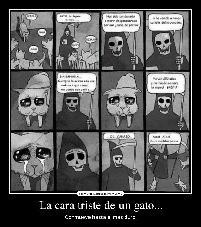 carteles asdasdsa desmotivaciones