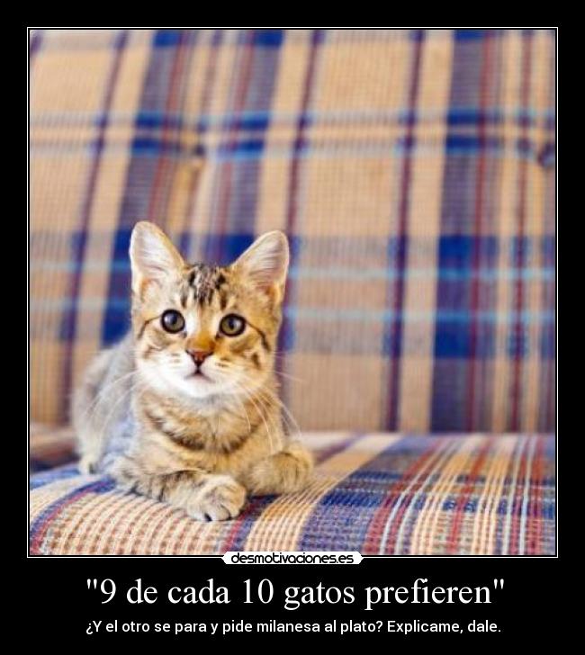 carteles gatos cada gatos prefieren whiskas desmotivaciones