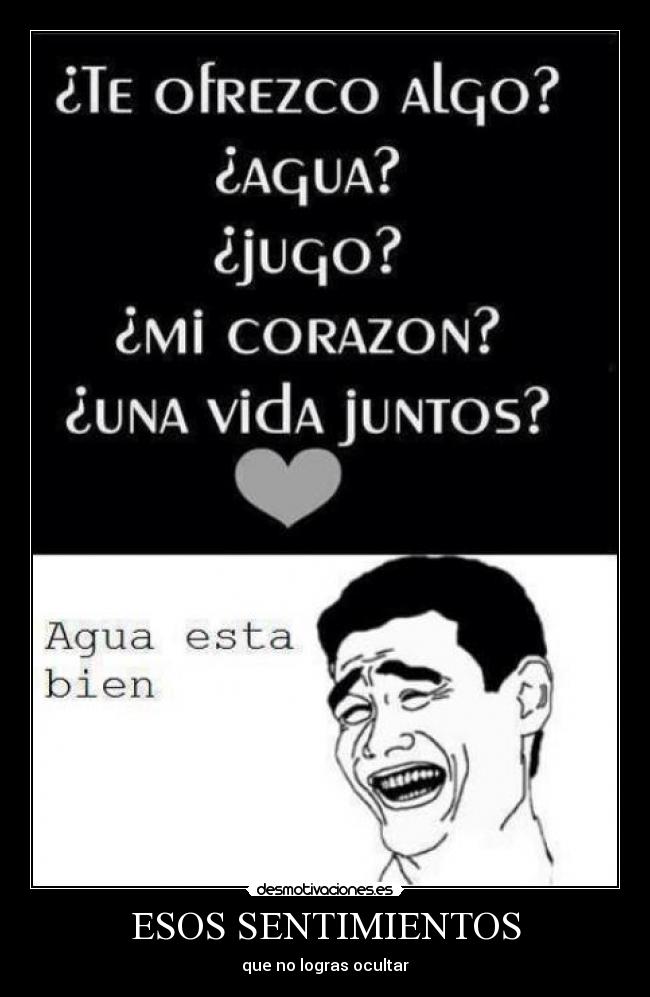 carteles sentimientos jeffwr kioma arnold desmotivaciones