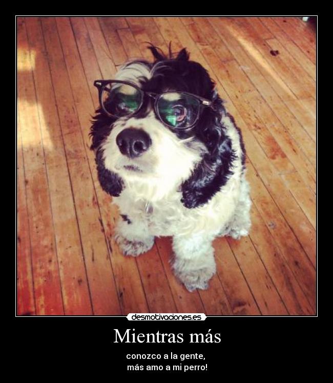 Mientras más - conozco a la gente, 
más amo a mi perro!