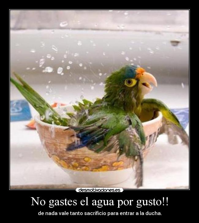 No gastes el agua por gusto!! - de nada vale tanto sacrificio para entrar a la ducha.