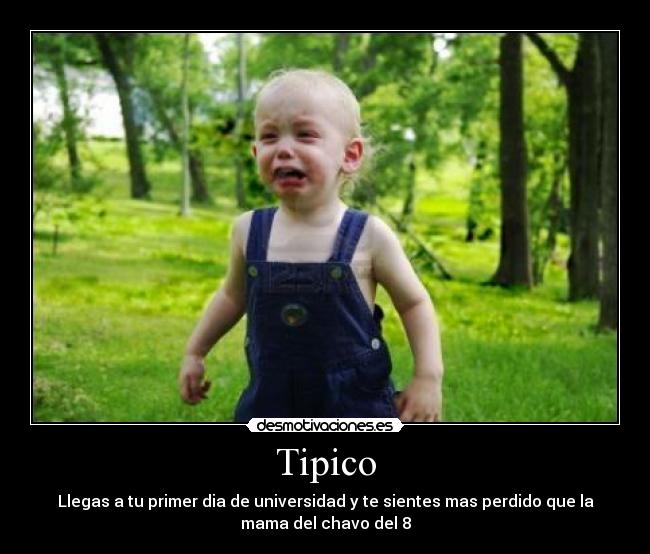 carteles universidad desmotivaciones