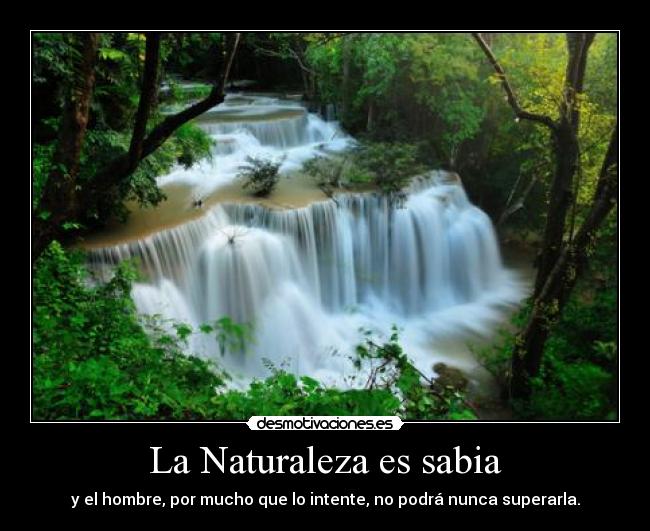 La Naturaleza es sabia - 