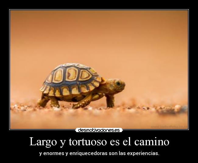 Largo y tortuoso es el camino - 