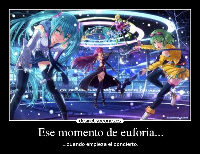 Ese momento de euforia... - ...cuando empieza el concierto.