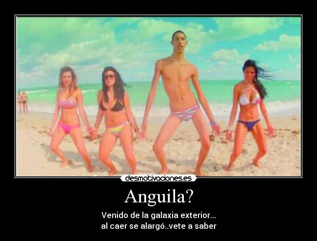 Anguila? - Venido de la galaxia exterior...
al caer se alargó..vete a saber