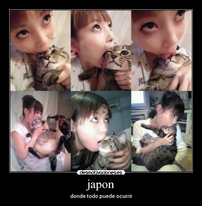 japon - donde todo puede ocurrir
