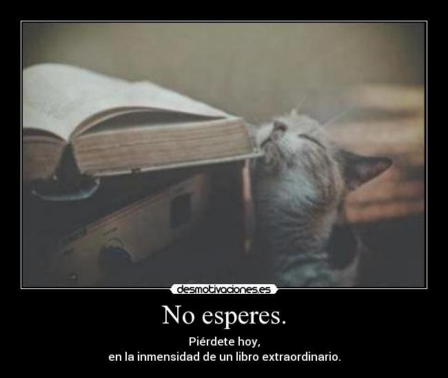 No esperes. - Piérdete hoy,
en la inmensidad de un libro extraordinario.