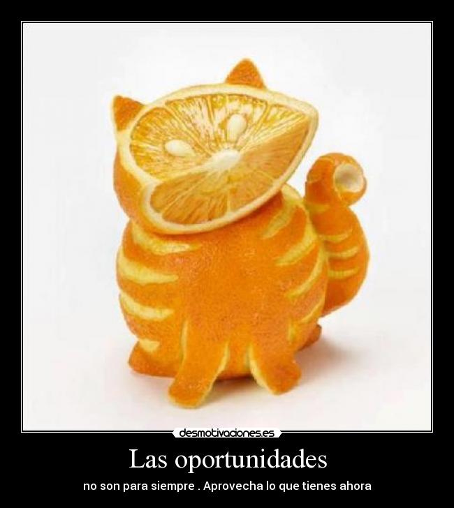 Las oportunidades - no son para siempre . Aprovecha lo que tienes ahora