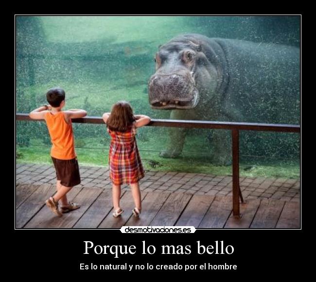 Porque lo mas bello - Es lo natural y no lo creado por el hombre