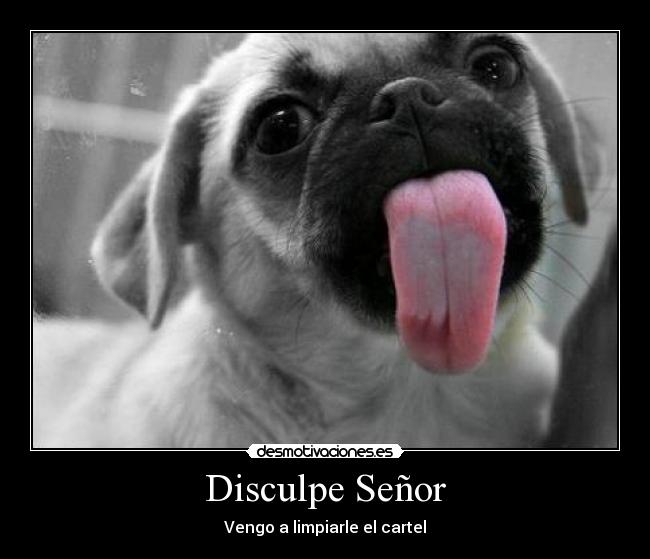 Disculpe Señor - 