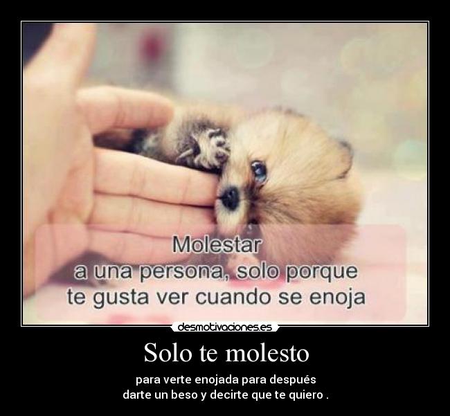 Solo te molesto -